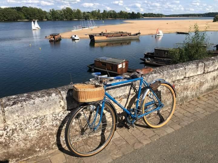 B&B Cote Loire Les Rosiers エクステリア 写真
